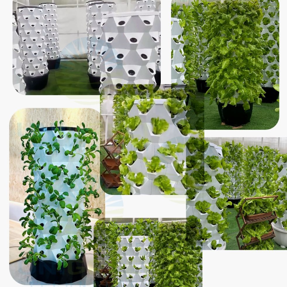 Lettuce Hydroponic Growing Systems Food Grade ABS PP Multistory Plastic Tower System Soilless for Agriculture Lettuce Strawberry