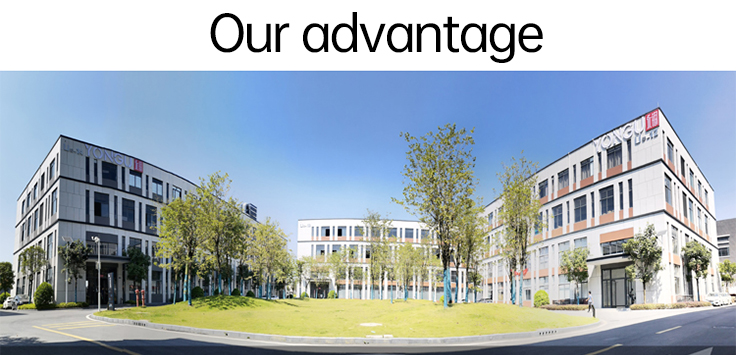 Manufacturing Advantages 1