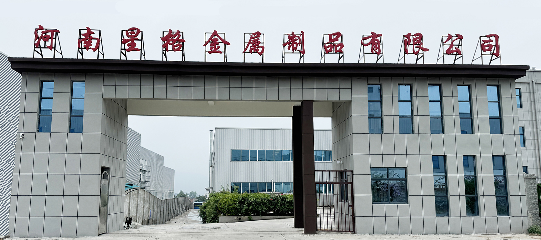 Company Introduction