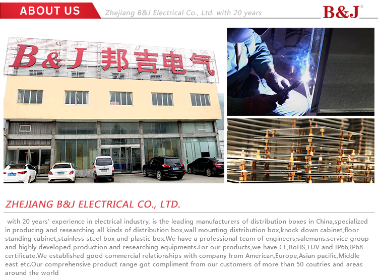 B&J New Design Customized Outdoor IP66 Waterproof Wall Mount Enclosure Electrical Metal Cabinet